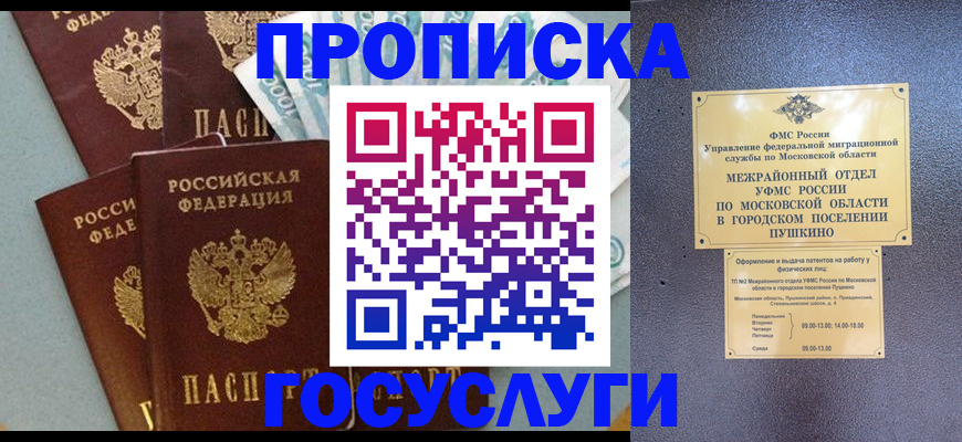 прописка гарантия в Нижних Сергах